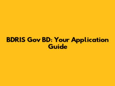 BDRIS Gov BD: Your Application Guide