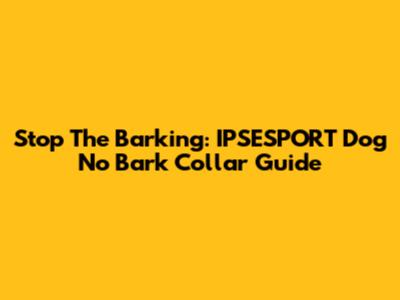 Stop The Barking: IPSESPORT Dog No Bark Collar Guide